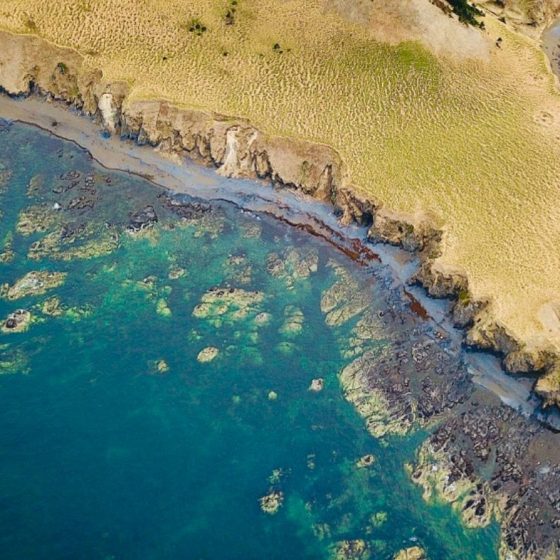 https://guest-sakhalin.ru/