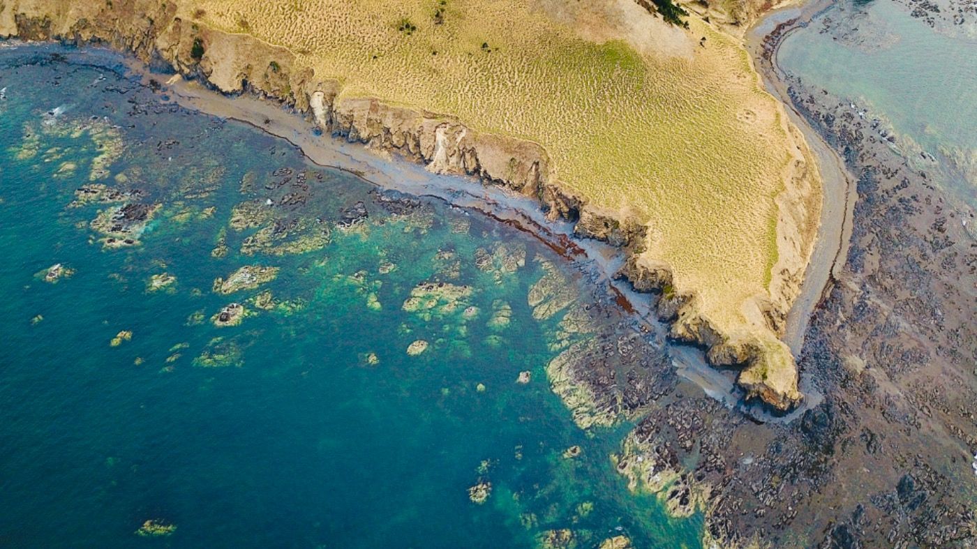 https://guest-sakhalin.ru/